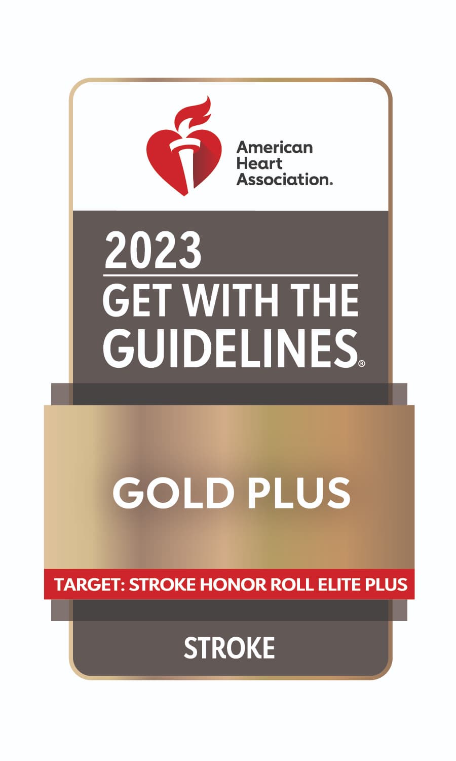 AHA 2023 Award Seal for the Gold Plus Achievement Award from the AHA